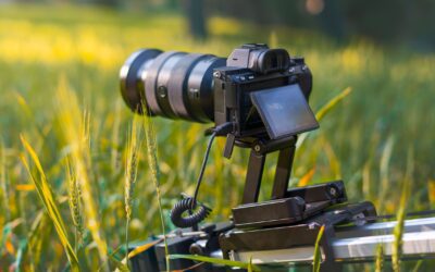 3 Reasons Spring is the Prime Season for Video Production